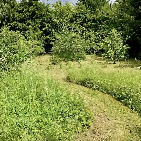 Adventurous Gem On The Edge Of Hegn * Tisvildeleje