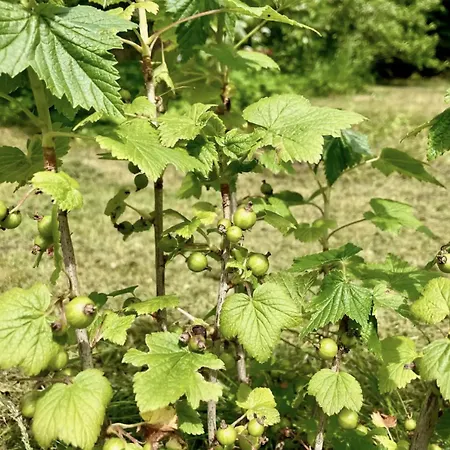 Adventurous Gem On The Edge Of Hegn *