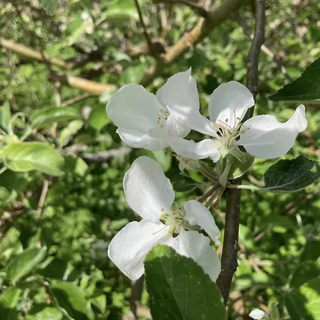Casa de Férias Adventurous Gem On The Edge Of Hegn *