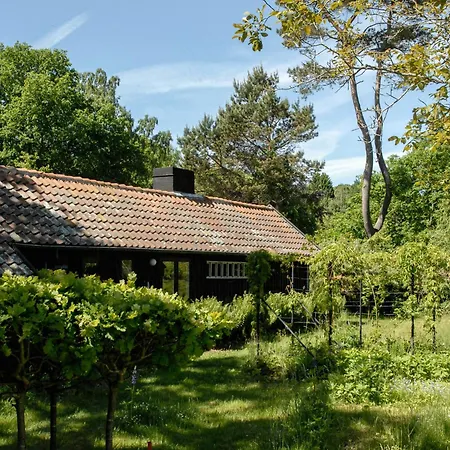 Adventurous Gem On The Edge Of Hegn * Tisvildeleje