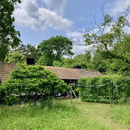 Adventurous Gem On The Edge Of Hegn Tisvildeleje